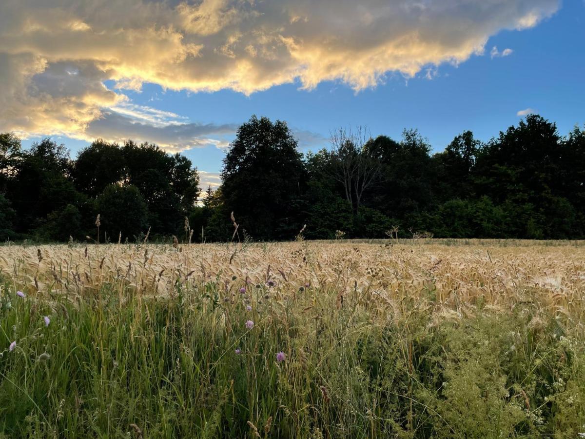 Sjoenaera Stuga Norrtälje エクステリア 写真