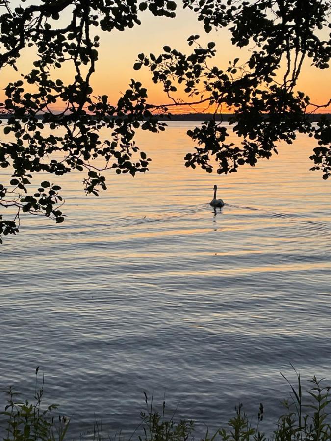 Sjoenaera Stuga Norrtälje エクステリア 写真